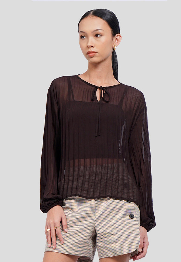 Front Tie Long Sleeve Sheer Blouse