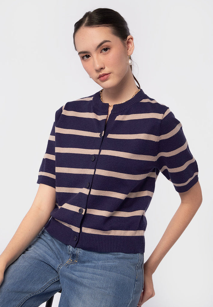 Short Sleeve Stripes Knit Top