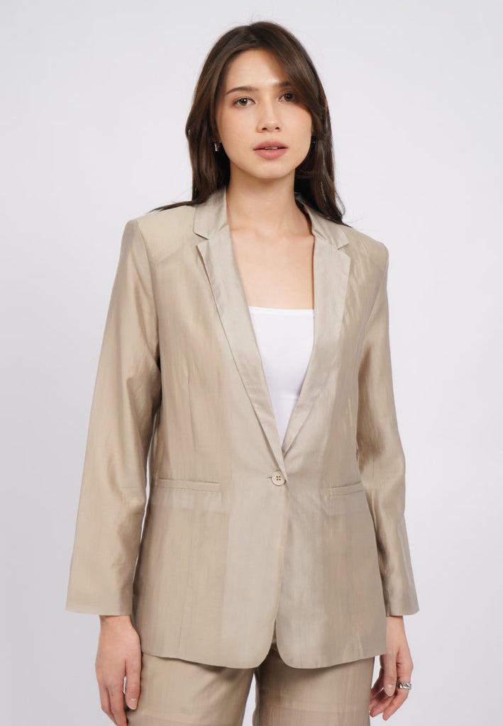 Long Sleeve Sheer Blazer
