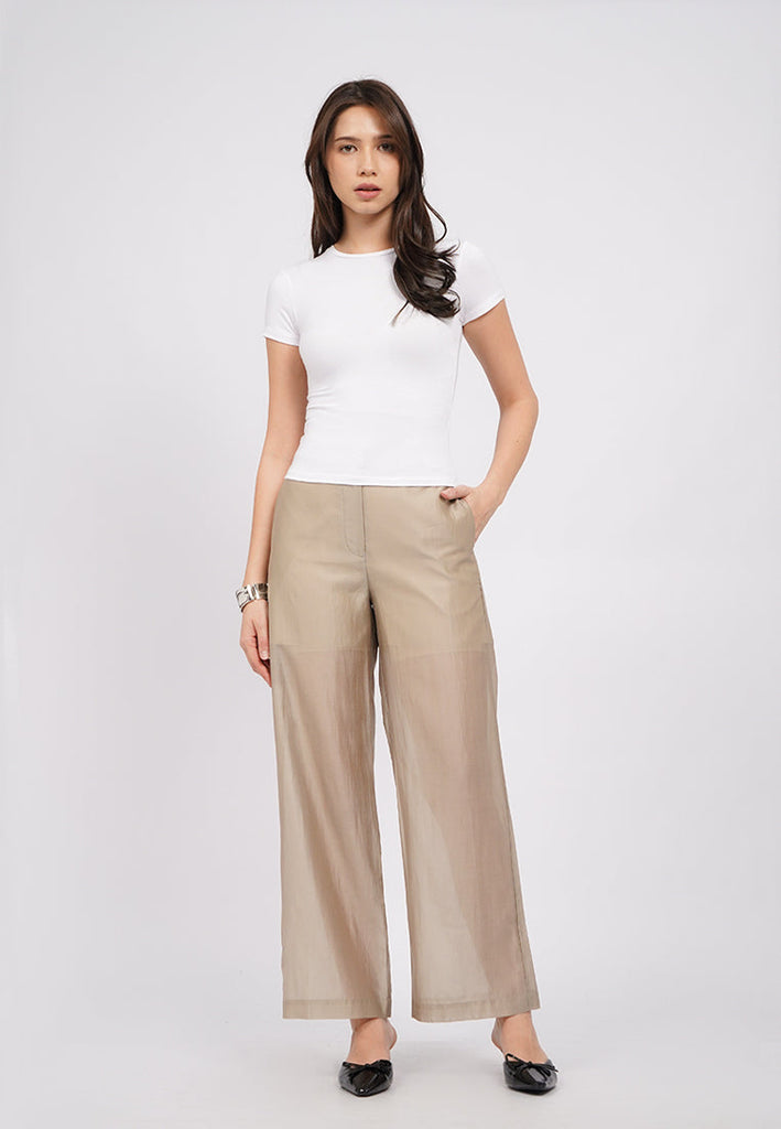 Sheer Long Pants