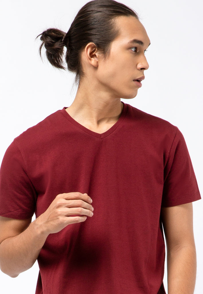 Slim Fit V-neck Basic T-shirt