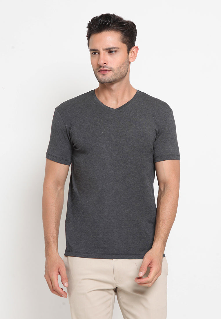 Basic V Neck T-Shirt Dark Grey – EXECUTIVE