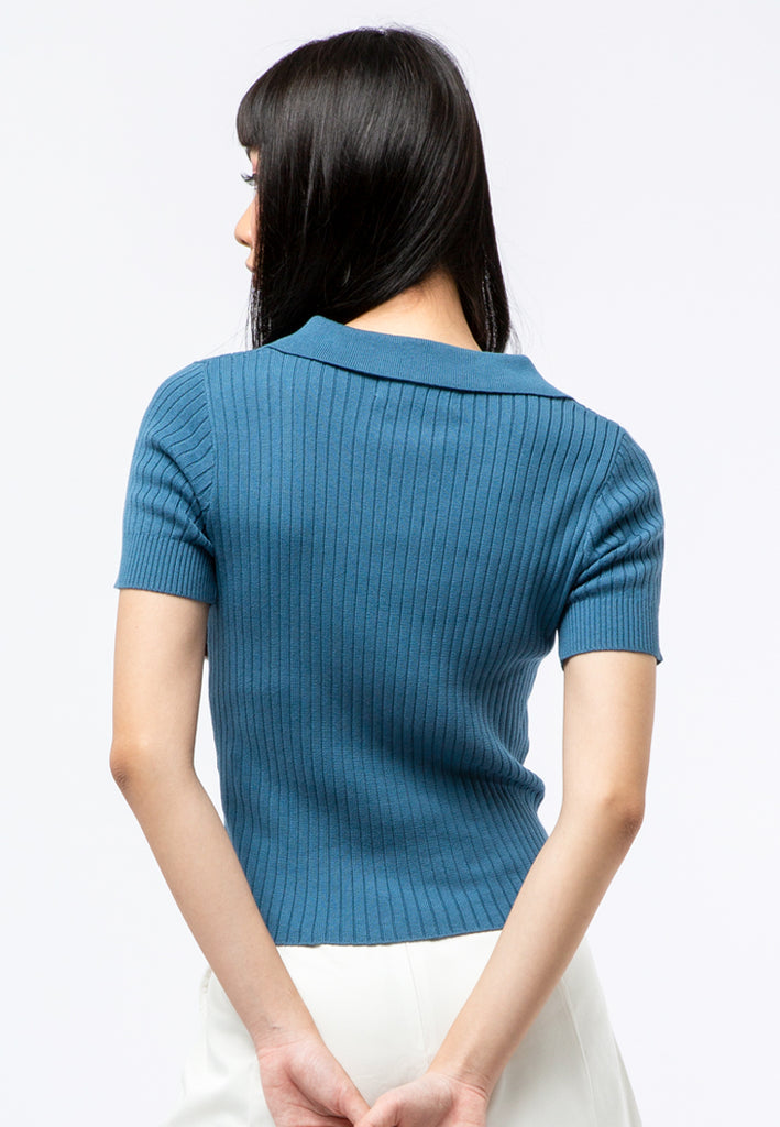 Fitted Knit Polo Top
